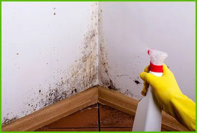 Miami Beach Water Damage Miami Beach, FL 786-345-7215