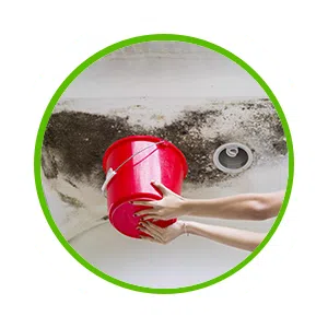 Miami Beach Water Damage, Miami Beach, FL 786-345-7215