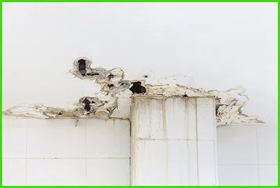 Miami Beach Water Damage Miami Beach, FL 786-345-7215